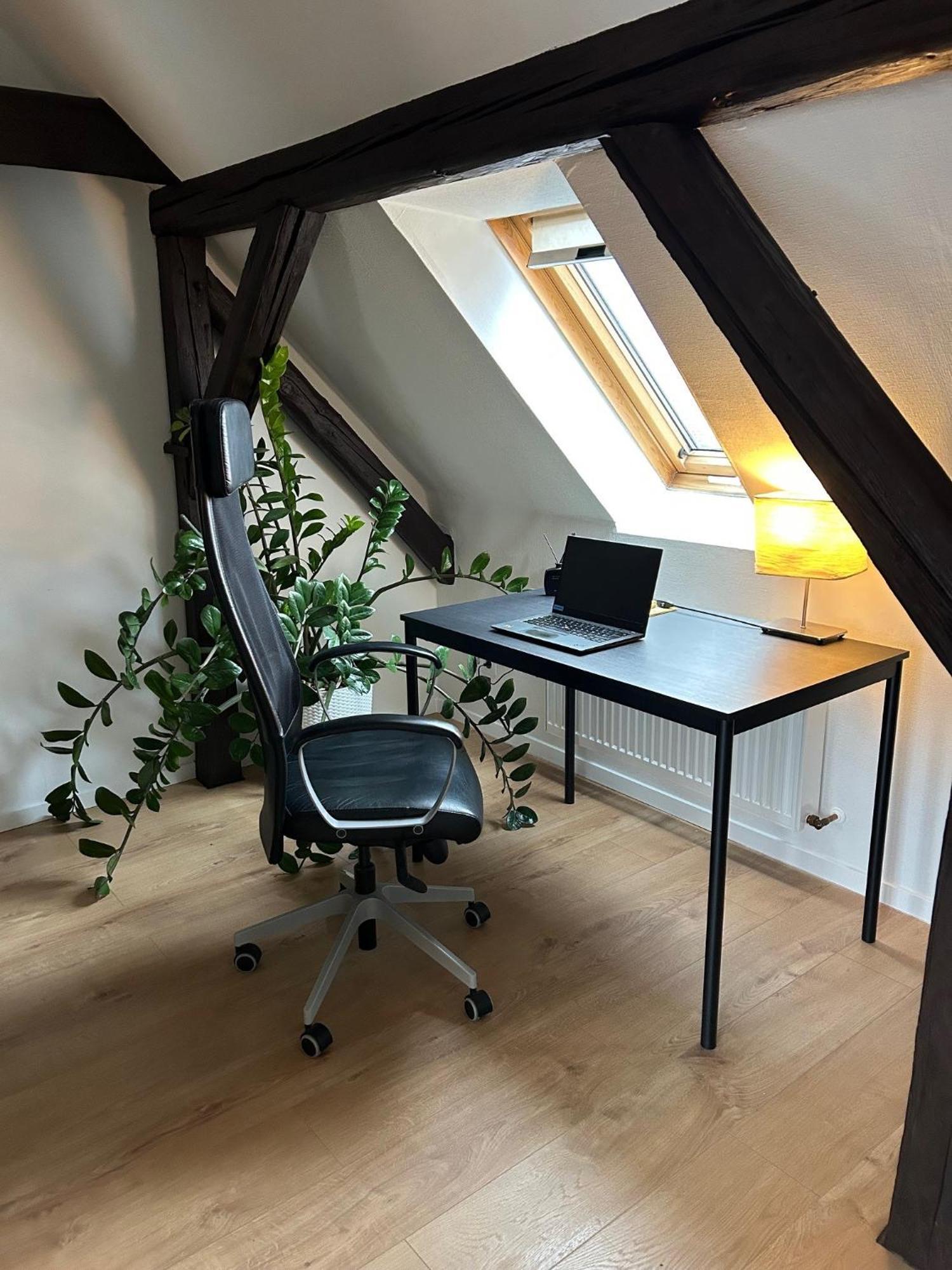 Schoene Neue Dg Wohnung Mit Sonniger Dachterrasse Und Fantastischem Ausblick Naumburg  Exterior photo